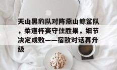 爱游戏登录 -关于天山黑豹队对阵燕山鲸鲨队，柔道杯赛守住胜果，细节决定成败——宿敌对话再升级的信息